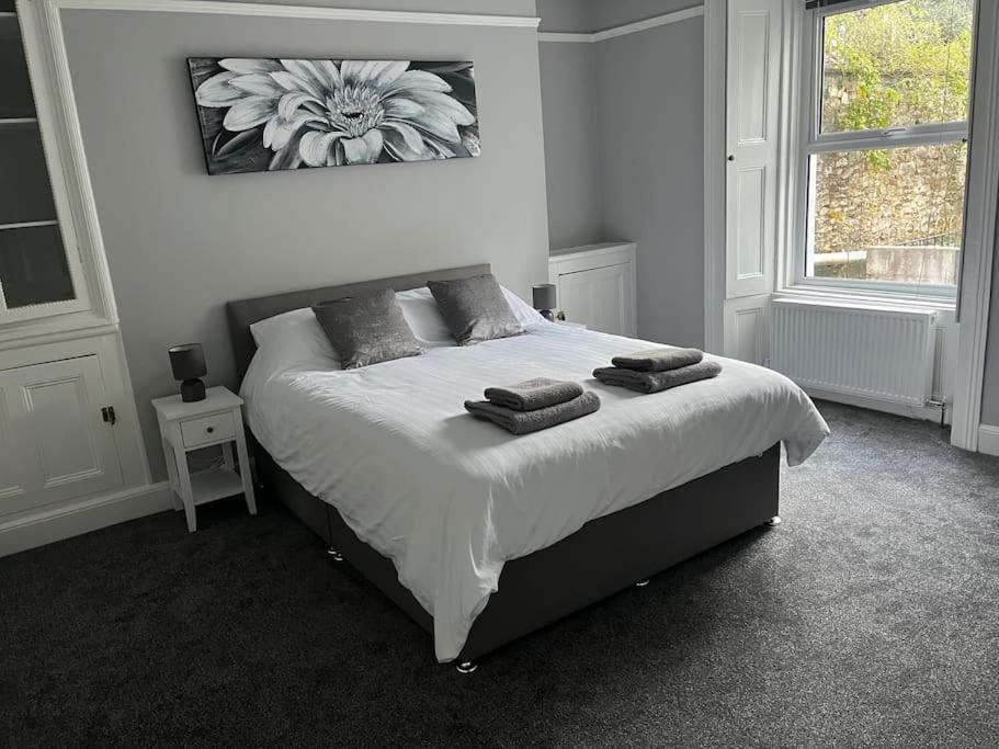 Large 1 Bedroom Flat With Private Parking 普里茅斯 外观 照片